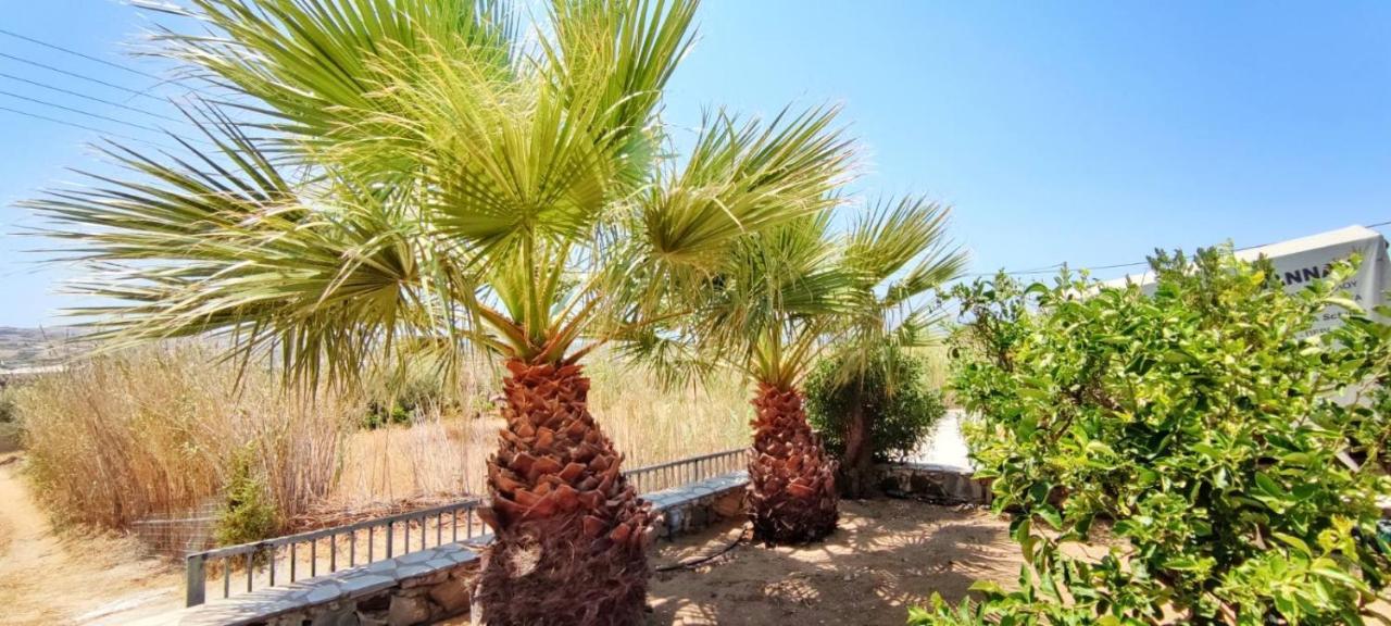 Apartmán Naxian Bliss Agkidia Exteriér fotografie